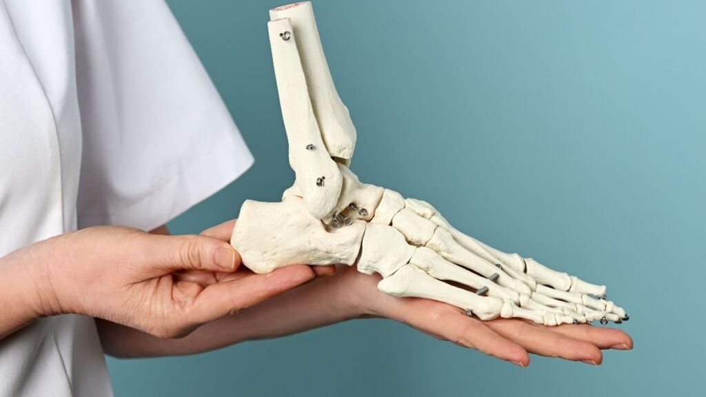 pie plano vs pie cavo